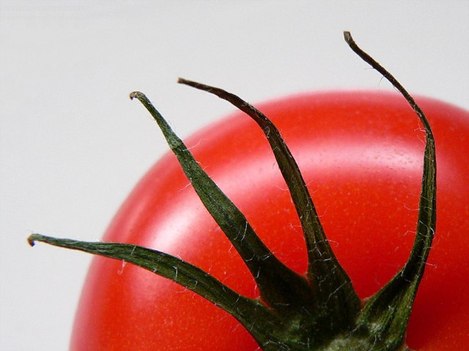 Zašto GMO izaziva zabrinutost?