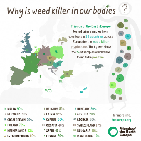 Weed killer found in human urine across Europe