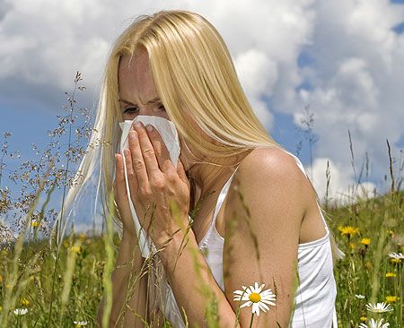 Šta je alergijska kijavica?