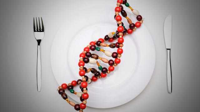 Potvrđeno: DNK iz GM biljaka može se preneti na ljude koji ih jedu