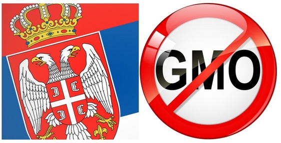 Gradovi i opštine Srbije protiv GMO