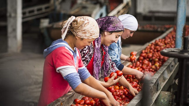 U Kirgistanu potpuna zabrana GMO