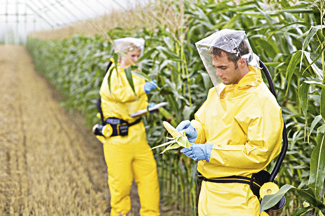Evropa otvorila vrata za GMO