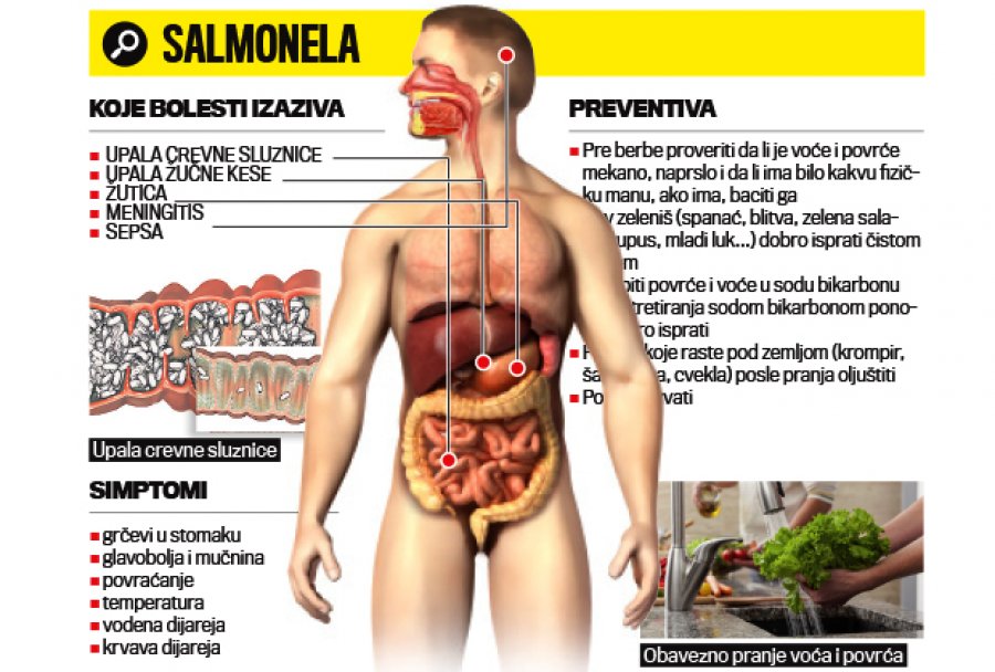 Opasno: Jagode i salata puni salmonele