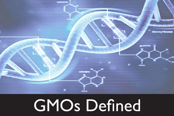 GMO - pojašnjenje oznaka kog hibrida kukuruza (SAD)