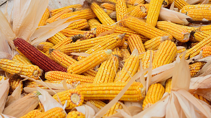 Vlada Rusije propisala kazne za nepravilno obeležavanje namirnica koje sadrže GMO