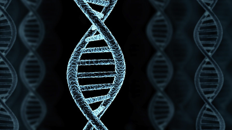 Genetički determinizam, transgena tehnologija i ekstranuklearni geni