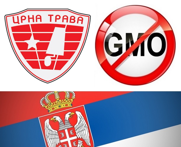Crna Trava bez GMO - Deklaracija