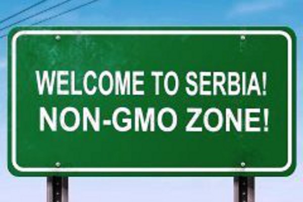Bogosavljević: Izmene zakona o GMO nisu na dnevnom redu