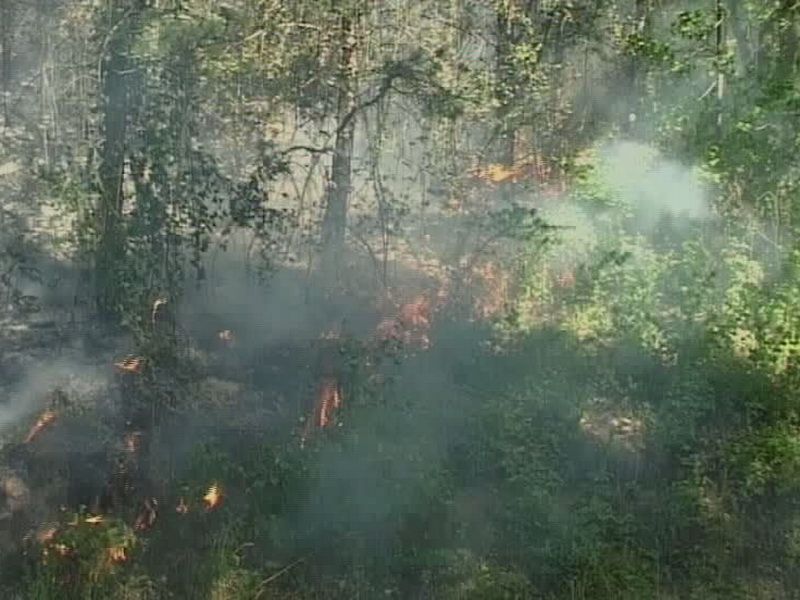 Najveći broj požara u istoriji Šumadije