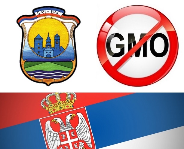 Bač bez GMO - Deklaracija