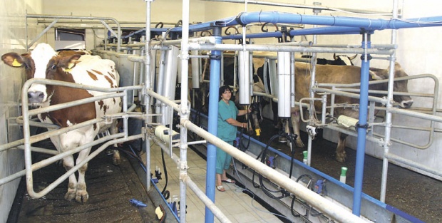 Srpski seljak na udaru evropskog mleka