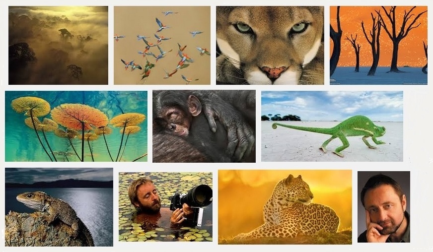 Fotografije koje oživljavaju životinjsko carstvo