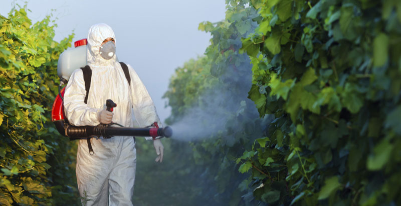 Evropi smetaju naši pesticidi