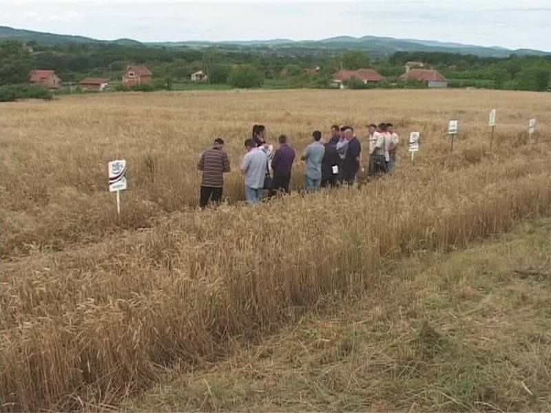 ’Dan polja’ obeležen u Cerovcu