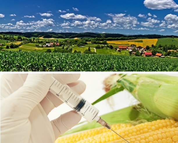 Hrvatska zajednica županija za zabranu upotrebe GMO u Hrvatskoj