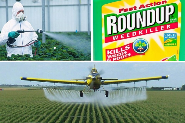 France Bans the World’s Leading Herbicide From Garden Stores
