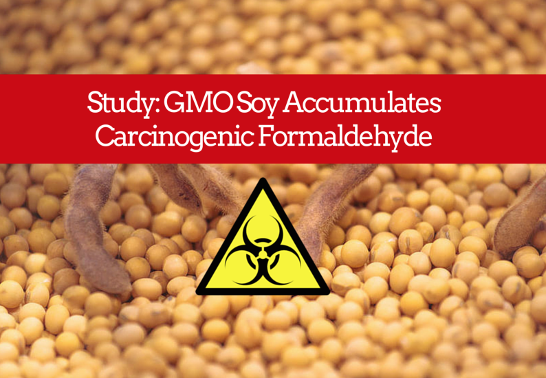 Alarmantno: ’Formaldehid (kancerogen klase 1) povećano prisutan u GM soji’