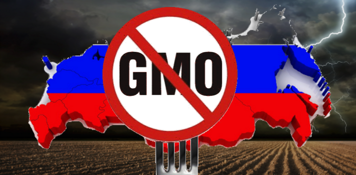 Rusija neće uzgajati GM proizvode