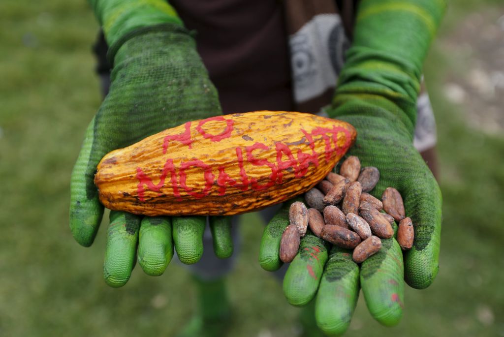 Svetska fondacija za prirodu toleriše krčenje Amazona zarad GMO plantaža