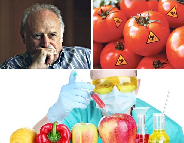GMO nema evolutivnu prošlost - otuda pitanja o mogućim opasnostima