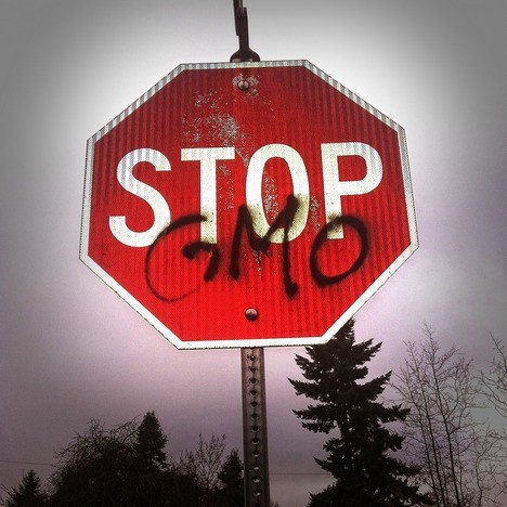 Moramo da prihvatimo GMO - zbog tekovina EU
