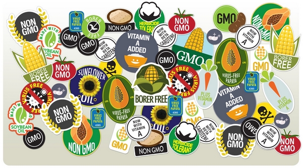 Prvi put manje površina pod GMO u svetu