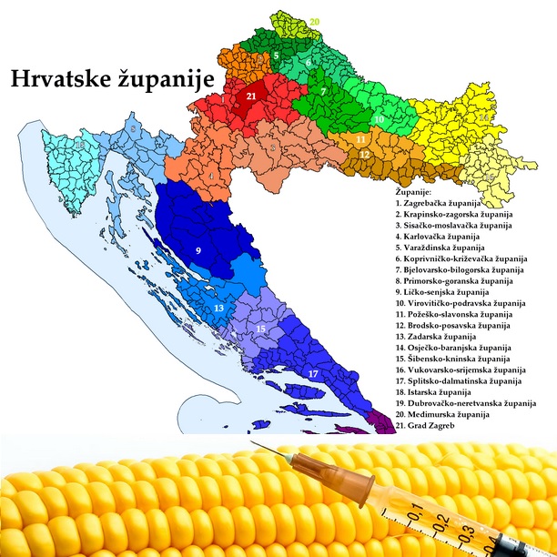 GMO u Hrvatskoj lani utvrđen na 161 uzorku