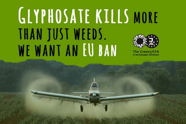 Totalni udar na totalne herbicide i Monsanto?