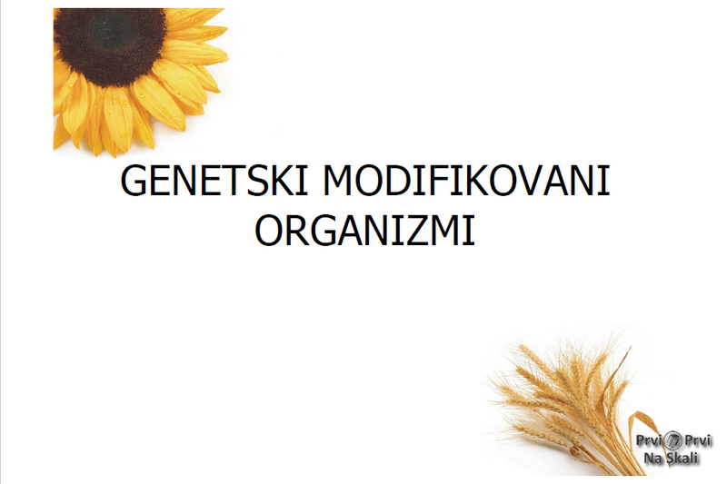Genetički modifikovani organizmi - Ekonomski fakultet, Subotica