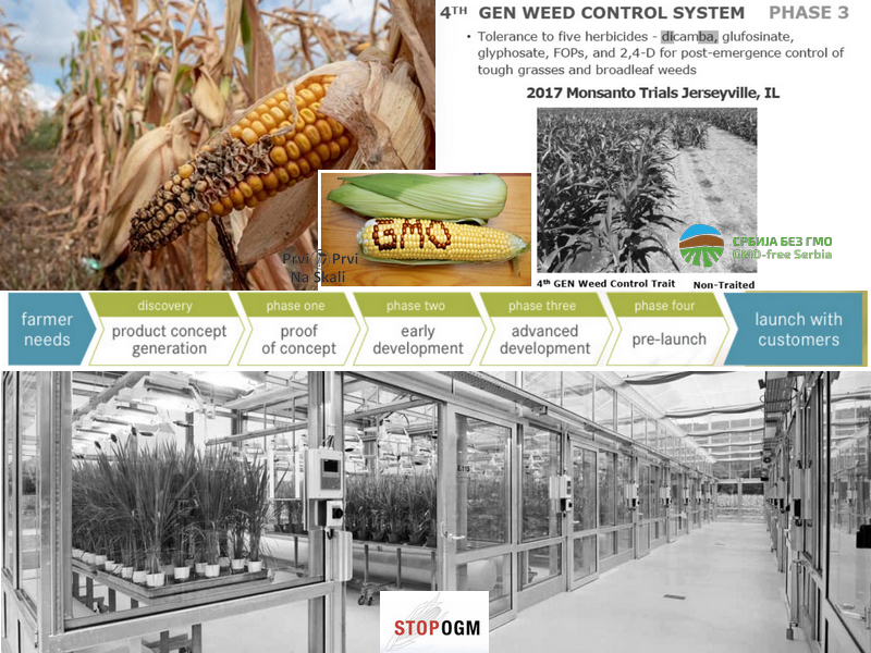 I posle 20 godina isti cilj GMO: stvoriti komercijalnu zavisnost od semena i nusproizvoda (herbicida)