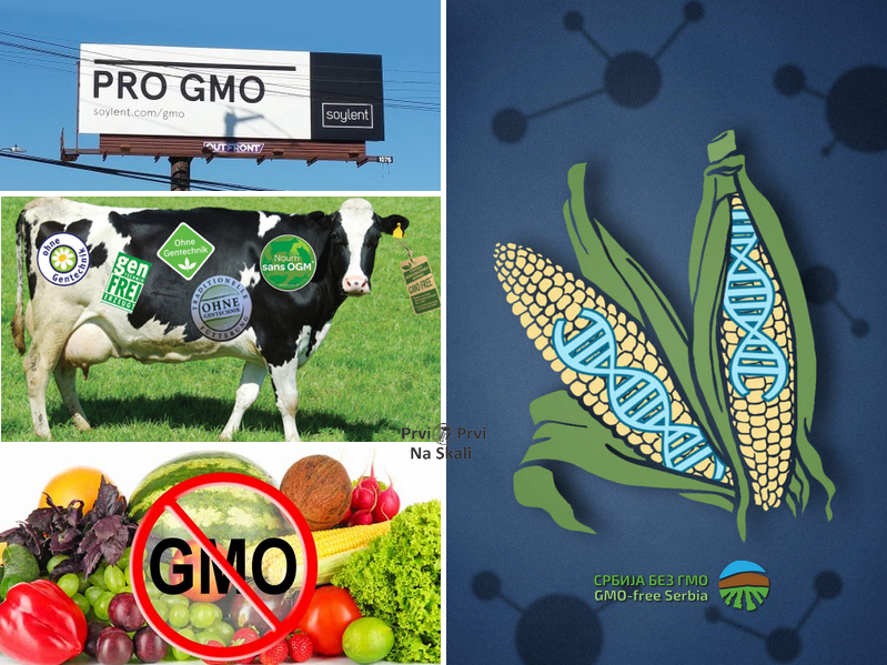 GMO kao ’naučna inovacija’ - za lakši prolaz u EU?