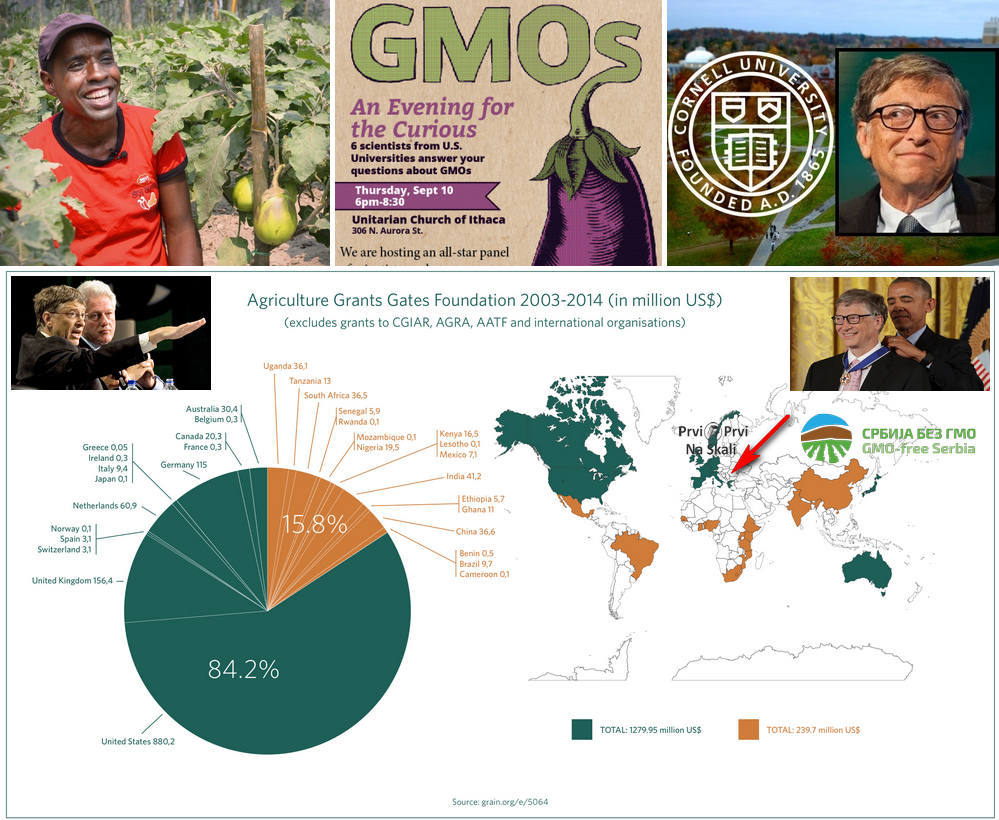 Gejtsovi milioni za promociju GMO među poljoprivrednicima širom sveta