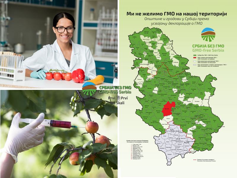 Njive bez GMO - za zaradu Srbije