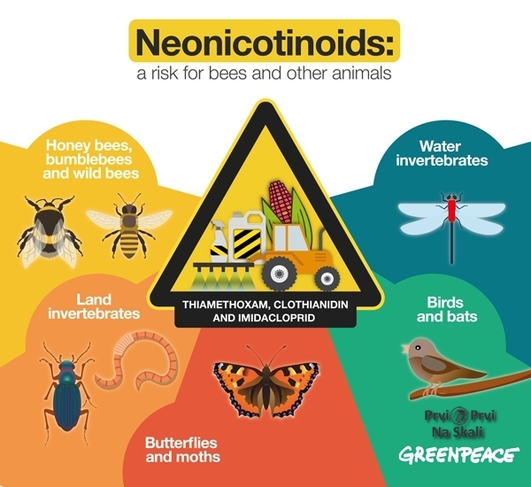 Neonikotinoidi nisu opasnost samo za pčele