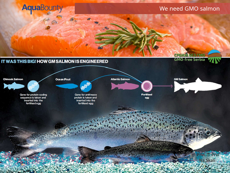 GM losos uskoro u prodavnicama SAD