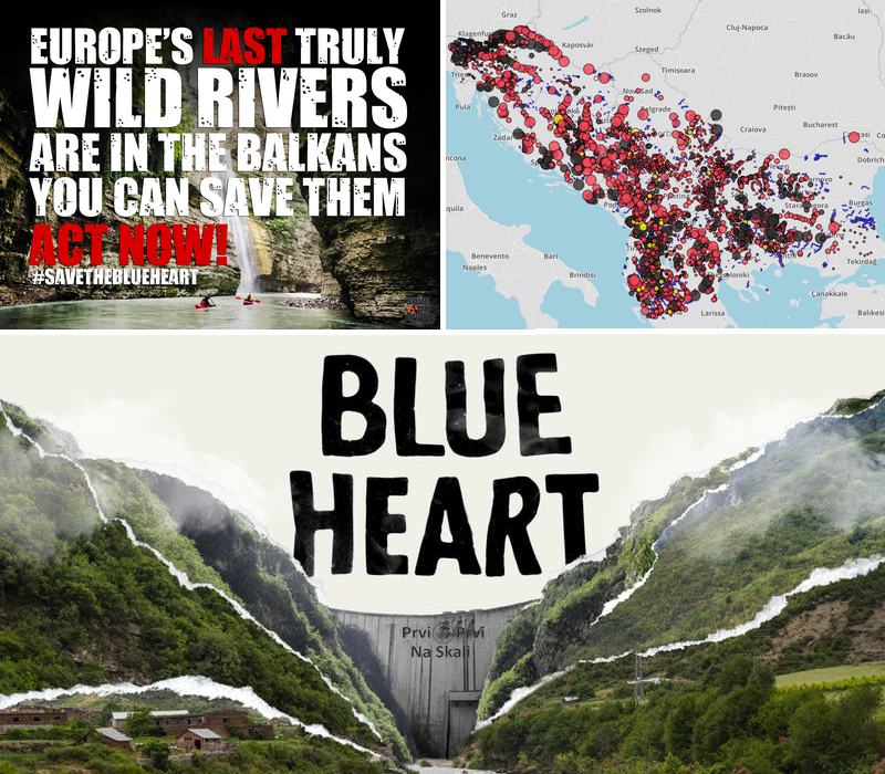 Plavo srce: Borba za poslednje divlje reke Evrope (VIDEO)