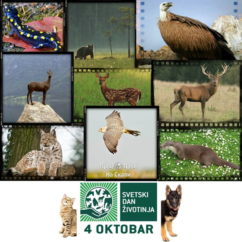 Svetski dan zaštite životinja - 4. oktobar