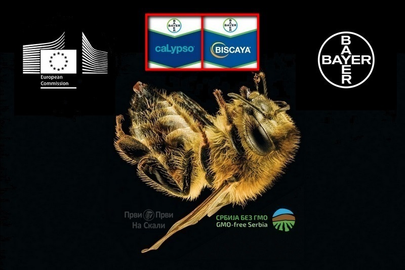Evropska komisija zabranila pesticid Bajera koji šteti pčelama