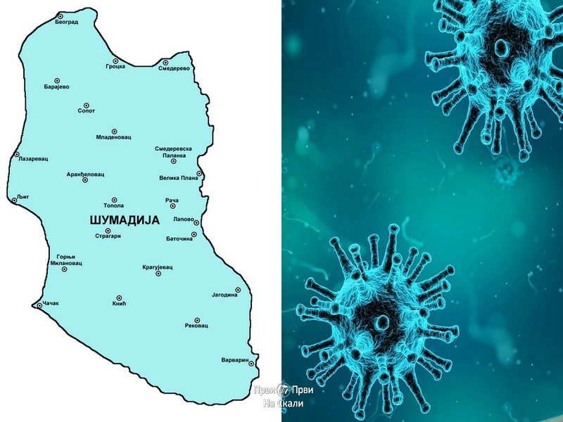 Prvi pozitivan slučaj korona virusa u Šumadiji