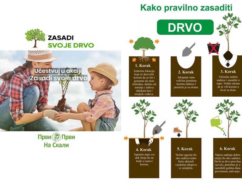 Akcija sadnje milion stabala jasena u Srbiji