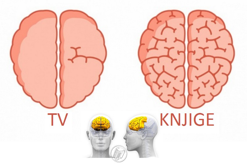 Uticaj gledanja TV-a i čitanja knjiga na mozak