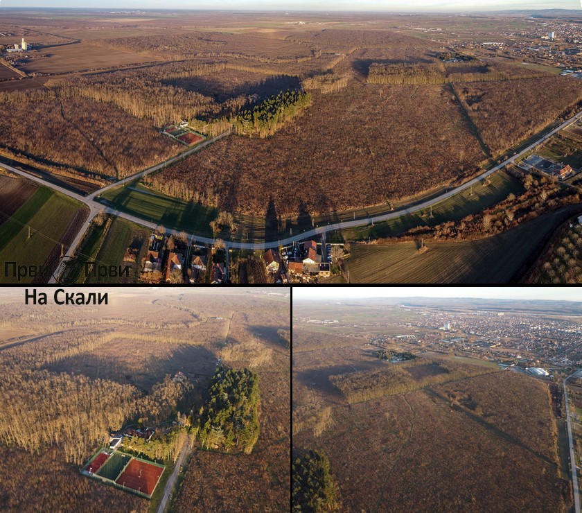 U Srbiji se seku i šume pod zaštitom države (FOTO, VIDEO)