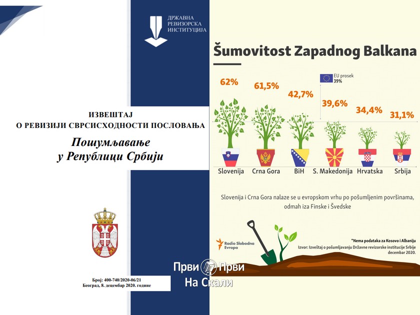 Pošumljavanje u Srbiji - Izveštaj DRI 2020