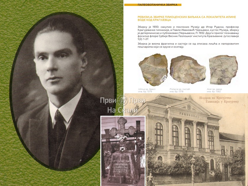 Zbirku pliocenskih biljaka sa lokaliteta Ilina Voda 1930. sakupio i poklonio Prirodnjačkom muzeju dr Igor Rudski, profesor kragujevačke Gimnazije