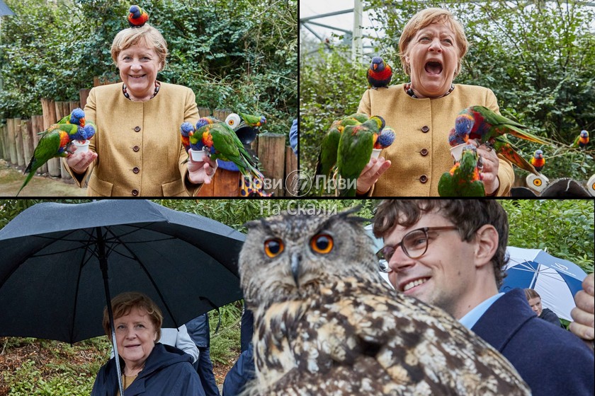 Merkelovu ujeo papagaj, sovi nije prišla