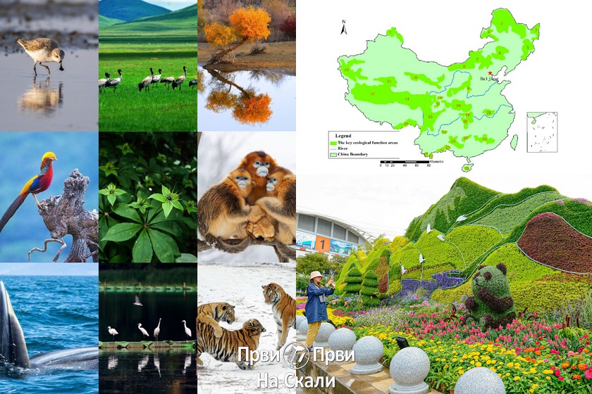 Kina unela dodatne 10.343 vrste u nacionalnu bazu podataka o biodiverzitetu