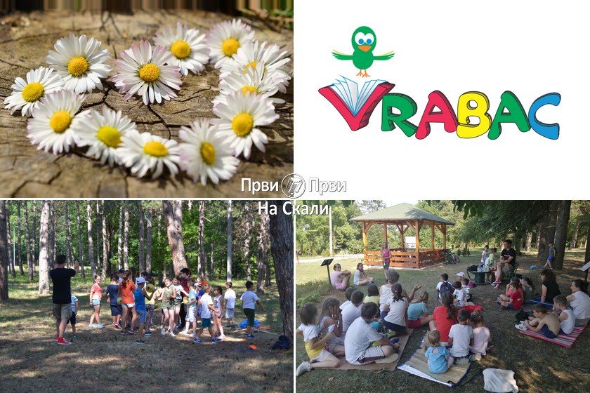 Letnji dnevni kamp: Botanička bašta 2022