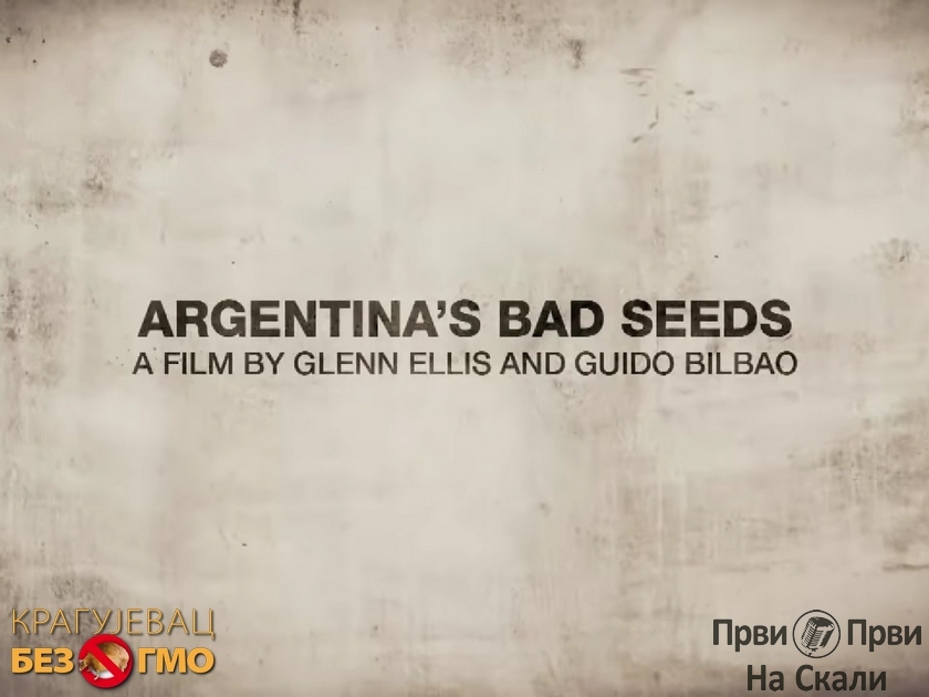 Argentinsko loše seme