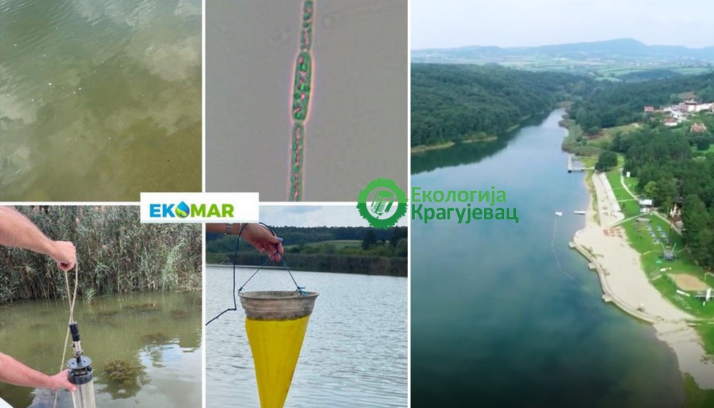 Ekomar: Loša ekološka slika jezera u Šumaricama